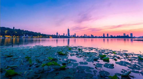 2021中国最美县域榜单发布,江苏这三地入选