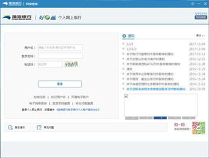 四川新网银股份有限公司是哪家公司