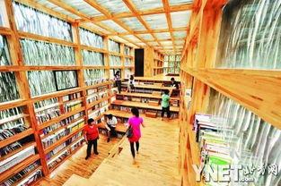 山中用4.5万根柴禾搭成的神秘图书馆 