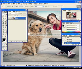 photoshop7.0中文版