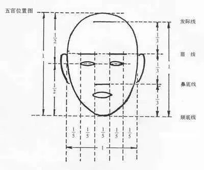 素描头像找准比例方法