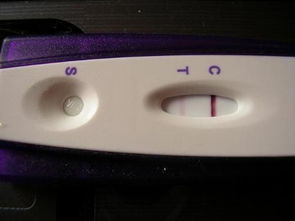 早孕试纸怎么看图解 如何看验孕纸？ 