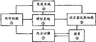 内环境的稳态是人体进行生命活动的必要条件,稳态的维持依赖于各个器官 系统的协调活动.请结合图示回答 