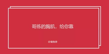 520表白文案来了