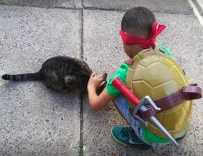 5岁小男孩扮成超级英雄,变身守护流浪猫的 猫猫侠 