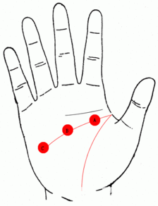 手相 智慧线图解