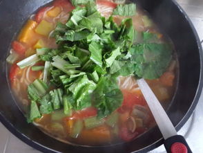 蔬菜面条的做法,蔬菜面条怎么做好吃,蔬菜面条的家常做法 小菲菲是我 