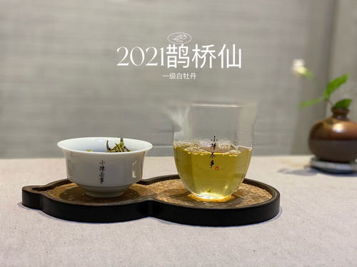 茶白是什么意思