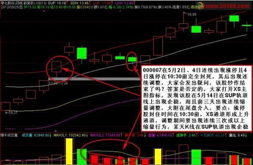 买了很久的股票 、晚上六点的时候不小心点错了、点了撤单、怎么办 急啊、