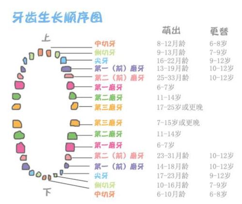 一颗超级顽固的牙