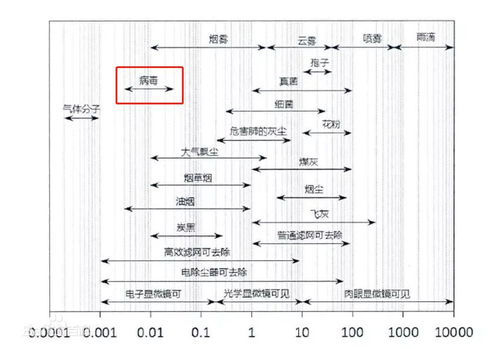 病毒气溶胶由感染者产生吗（病毒气溶胶传播新冠病毒的风险等级为高） 第1张