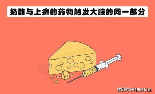 冷知识 15个听起来像虚构故事,但却真实存在着的冷知识