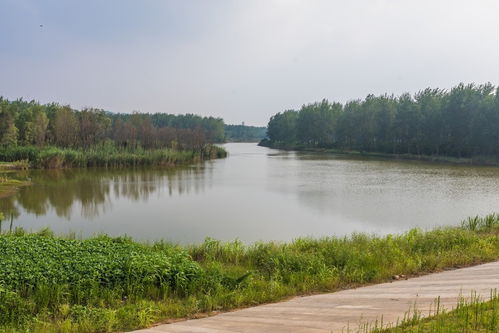 南京八卦洲湿地公园门票,南京八卦洲湿地公园游玩攻略 360地图 