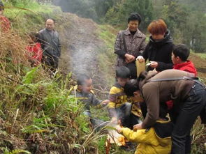 衡山山上,正在发生的一幕,震惊了