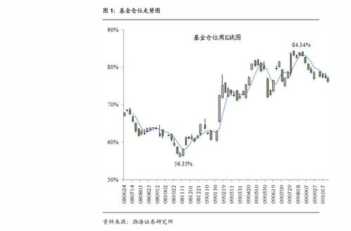 长百集团股票能涨到多少钱