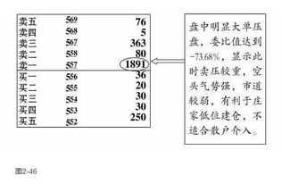 谁能通俗的解释一下，“委买手数”是指即时向下三档的委托买入的总手数