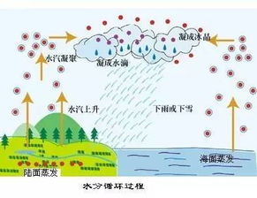 饱和水汽压的介绍