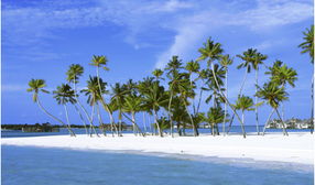 【巴厘岛旅游攻略】六天五晚预定推荐，让你的假期充满惊喜！