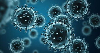 1 病毒性感冒与细菌性感冒的共有症状 