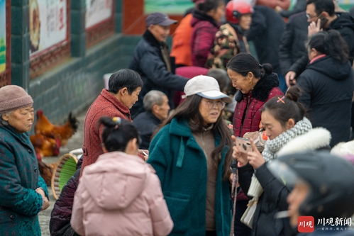 小小乡村赶集日 脱贫路上 致富车 