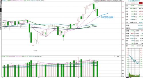 股票里面的20日均量怎么看