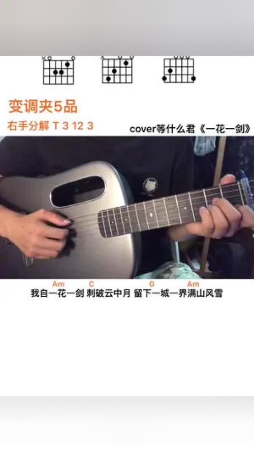 吉他弹唱教学 歌曲一花一剑 吉他谱 零基础学吉他 适合新手的吉他弹唱歌曲 