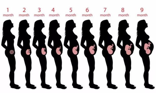 怀孕对女人的改变有多大 十月堪比十年啊 