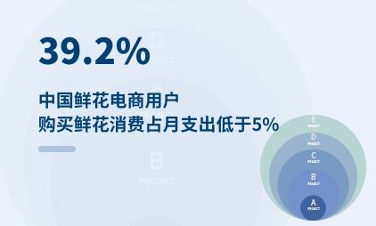 鲜花 新经济行业研究分析报告发布平台 