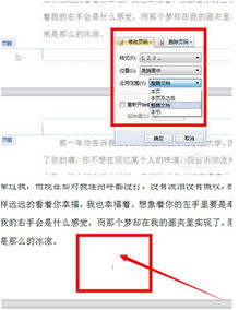 WPS文档肿么添加页码啊