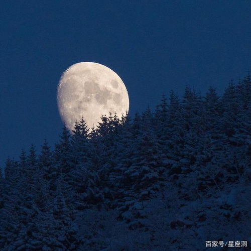 处事儿圆滑,具有大智慧的星座