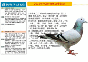 F.C.I世界信鸽锦赛信鸽2012年成绩鸽