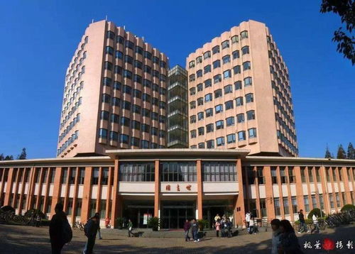 同济大学 