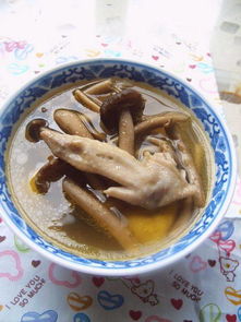 茶树菇炖鸡 可以用茶树菇炖鸡吗