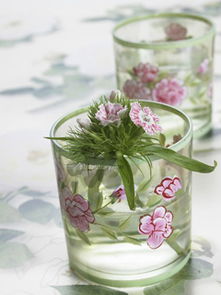 纸杯子能养花吗