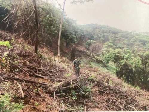 县里林业站把我的山林地定性为“自然林”，我现在无法开发砍伐，我该怎么办