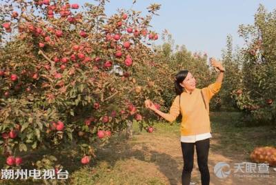 辽宁锦州太和锦州市果树农场