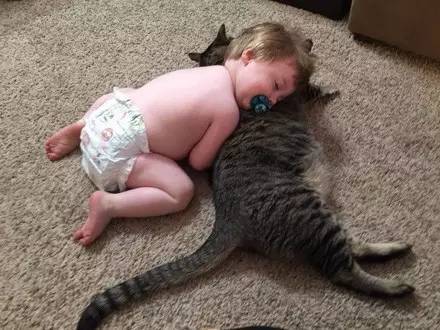 小宝宝刚会爬的时候,竟然选择抱了比他大一倍的猫,长大后...