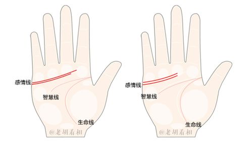 什么是双重感情线 双感情线好吗 老胡看相