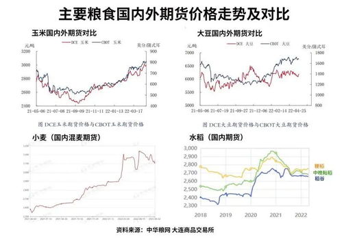 俄乌冲突下引发小麦危机,中国会去国际市场上抢粮吗