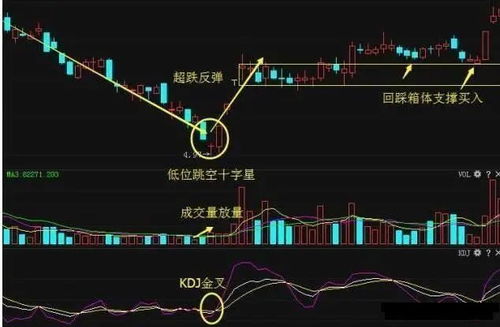 连续大幅反弹后放量收出一颗十字星预示后市该如何