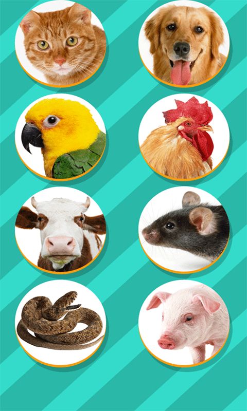 动物叫声交流器app下载 动物叫声交流器v5.0 安卓版 腾牛安卓网 