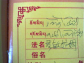 高人帮我把这个藏文名字翻译成中文,解释什么意思 