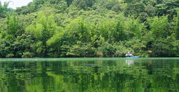 佛山村尾附近哪里有免费的停车场,佛山周边避暑胜地佛山免费公园哪里好玩