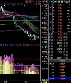 900902股票后势如何，请指教