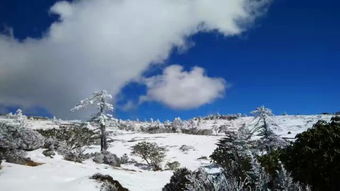 自驾游 轿子雪山