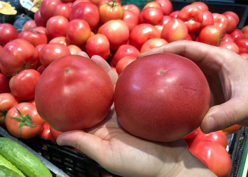 我爱西红柿的作品