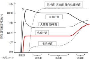 我欲与 菌 相知,长命无绝衰 