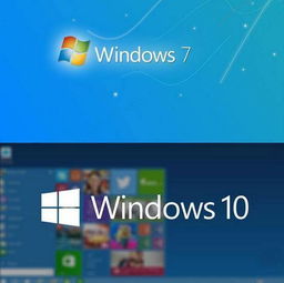 如何看win7还是win10