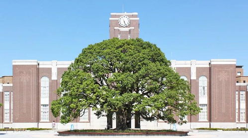 京都大学才排第三 来看日本人眼中学霸最多的学校TOP10