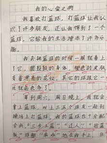 一篇作文300字左右